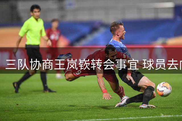 三队协商王岚嵚转会事宜 球员去向仍存变数
