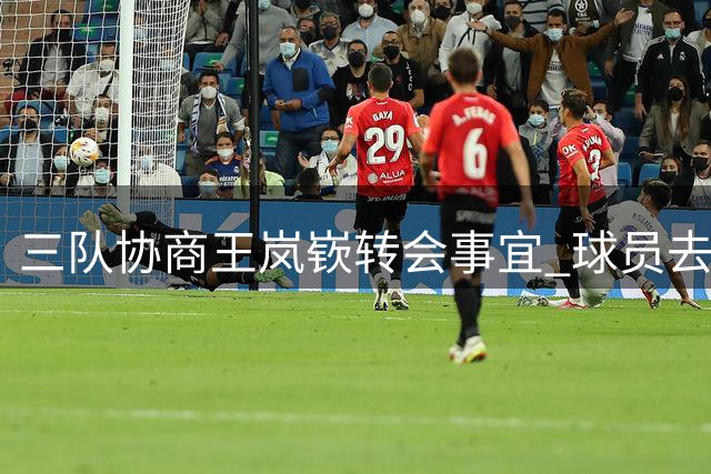 三队协商王岚嵚转会事宜 球员去向仍存变数