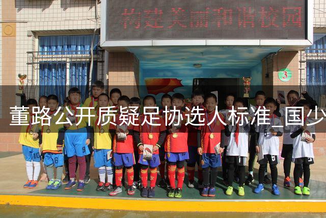 董路公开质疑足协选人标准 国少队拒招小将队员引争议