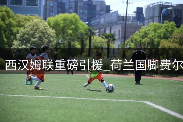 西汉姆联重磅引援 荷兰国脚费尔特曼强势加盟